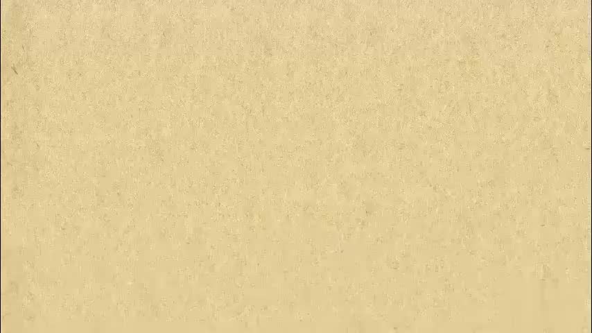 1. 名词的分类及用法