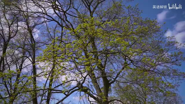 44-I Got A Puppy Our First Days Together