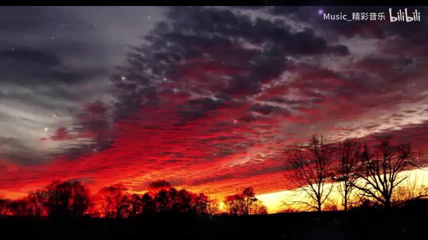 《白鸽乌鸦相爱的戏码》《不要慌太阳下山有月光》