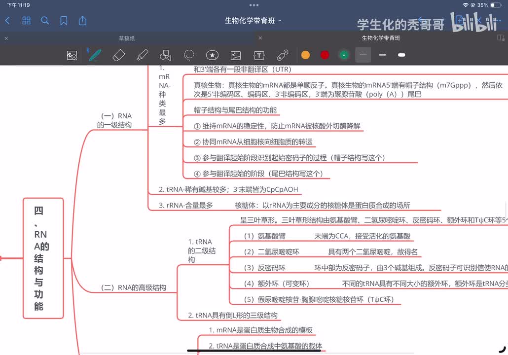 09：核酸的结构和功能03