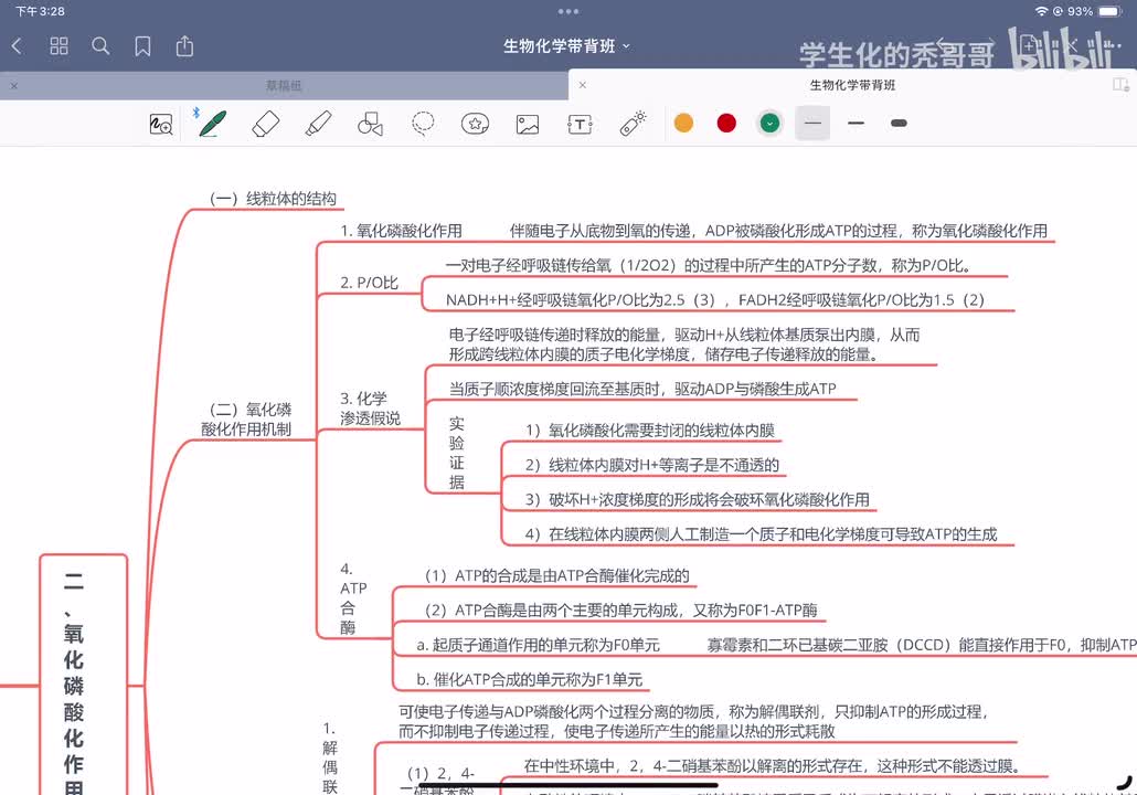 14：氧化磷酸化作用02