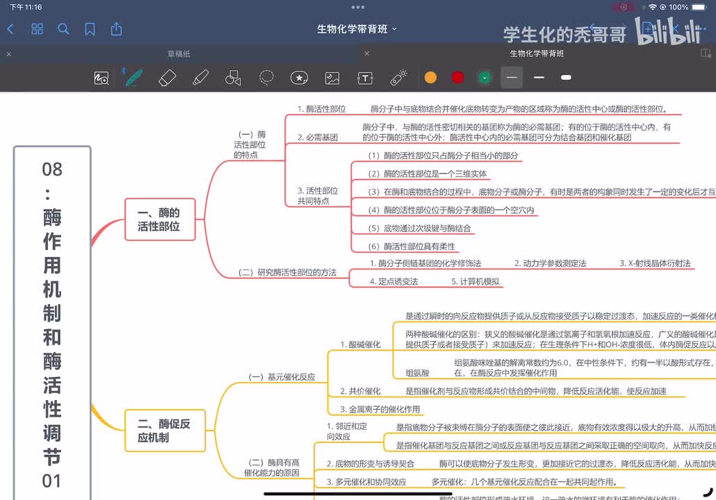 08：酶作用机制和酶活性调节01
