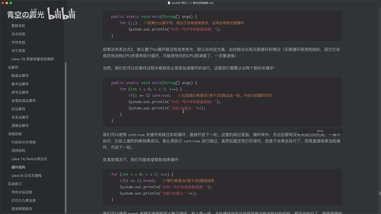 入门：循环结构（二）