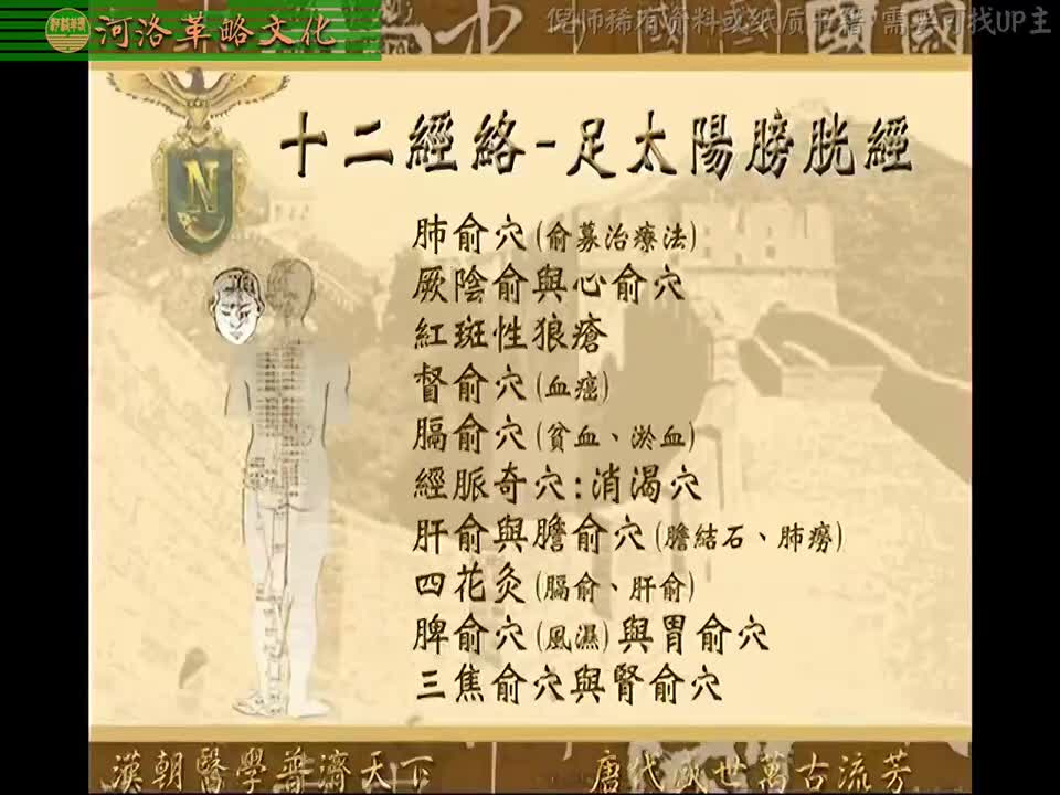 针灸大成05集_01【4.10足太阳膀胱经】6肺俞穴（俞募治疗法）