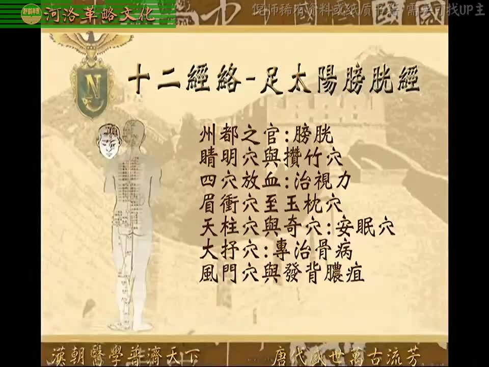 针灸大成04集_17【4.10足太阳膀胱经】1州都之官：膀胱