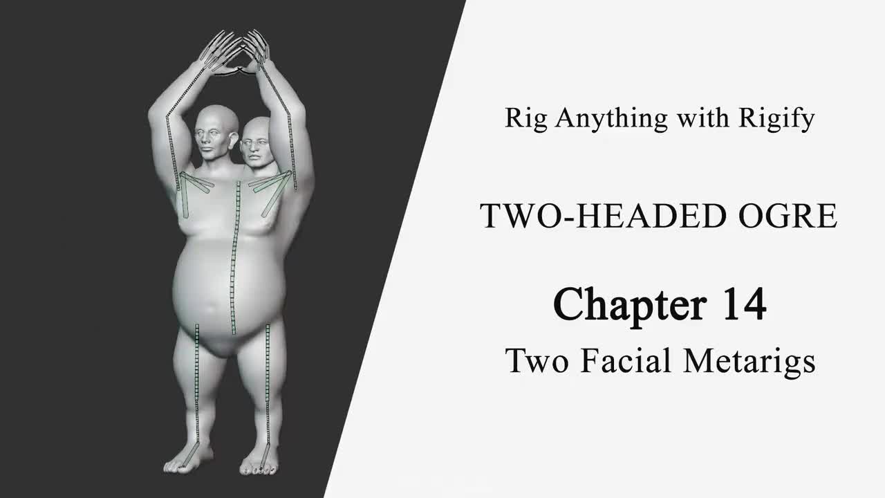 #14：双面部（Metarigs）