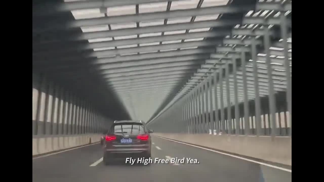 meme常用小曲（免费鸟）