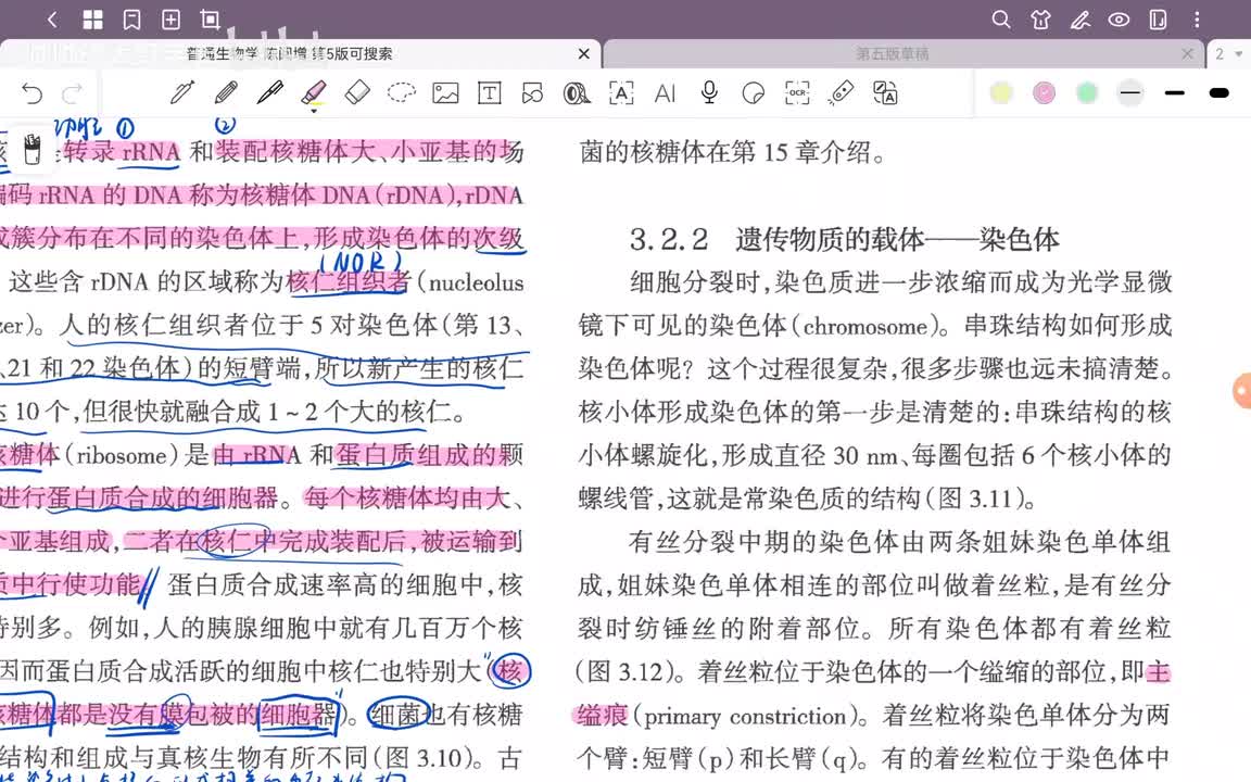 10.第3章 细胞结构与物质交换和信息传递(4)