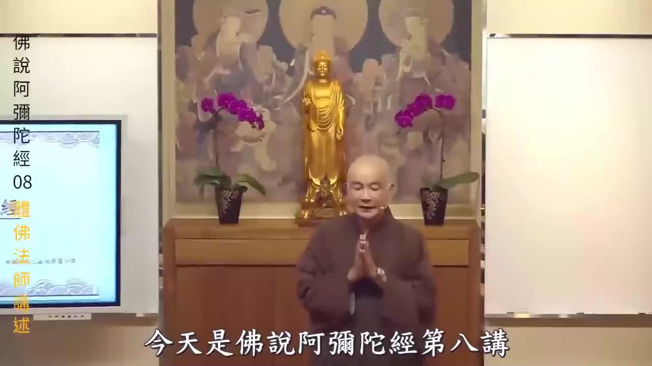 第8集《佛说阿弥陀经》体佛法师