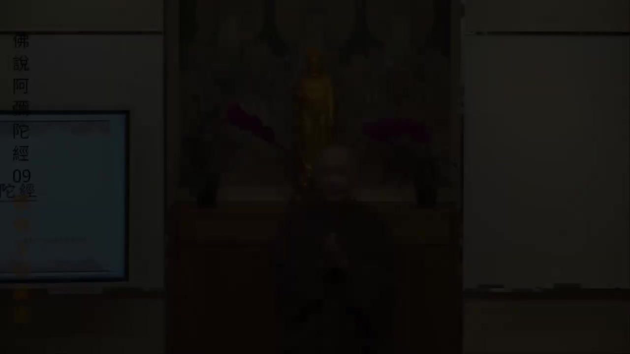 第9集《佛说阿弥陀经》体佛法师