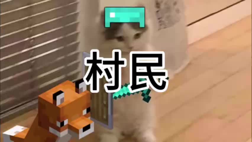 我的世界村民音效