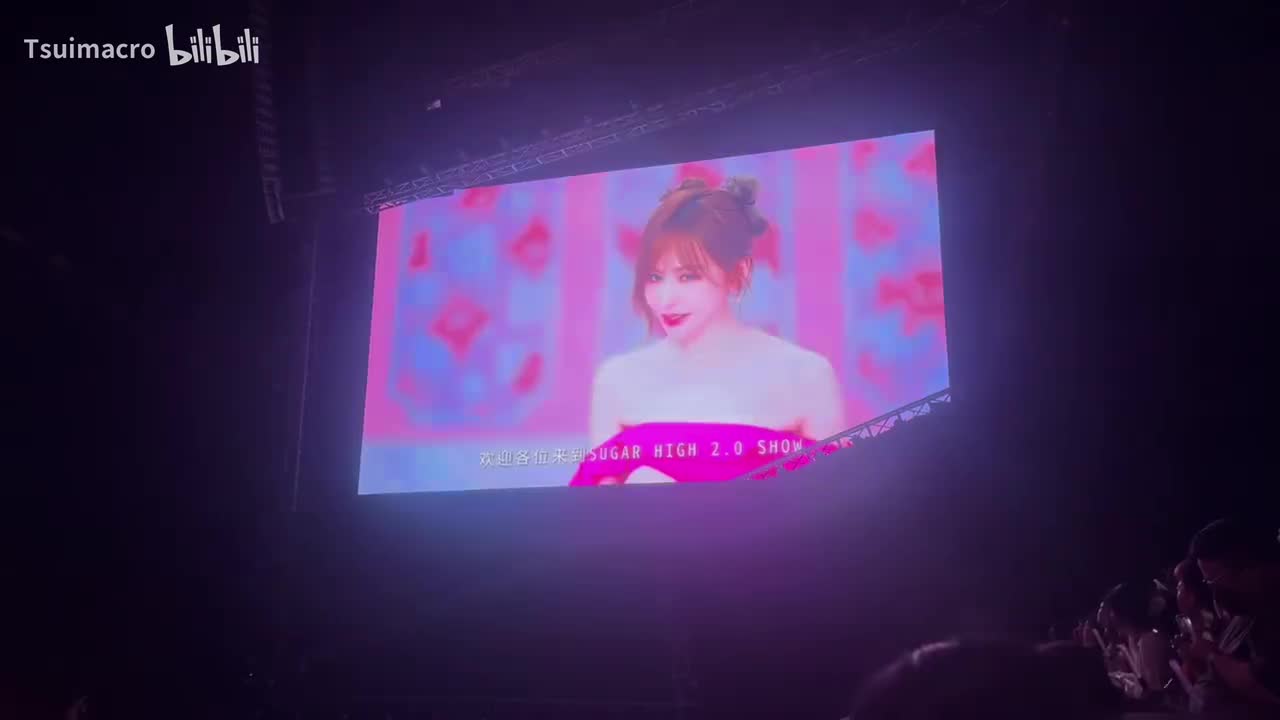 转场vcr+sugar high+教海鸥飞行的猫