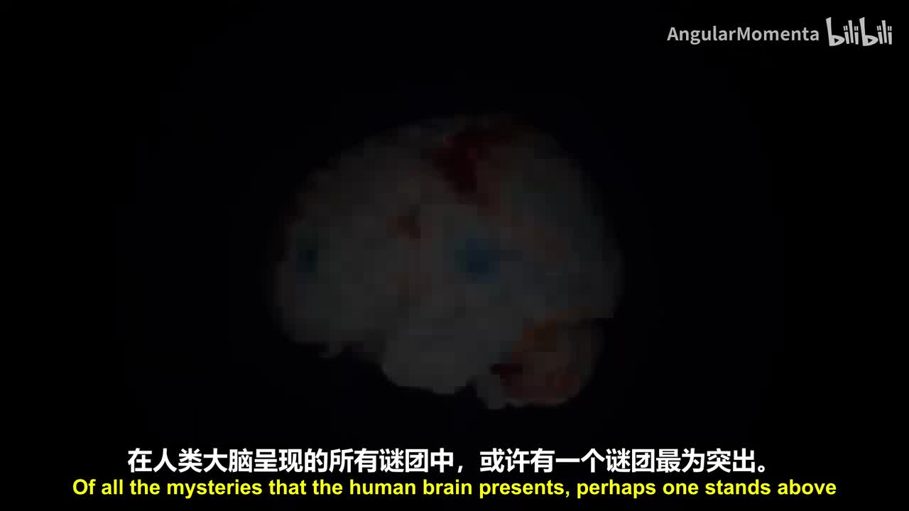 【英语】21 生物网络学习算法
