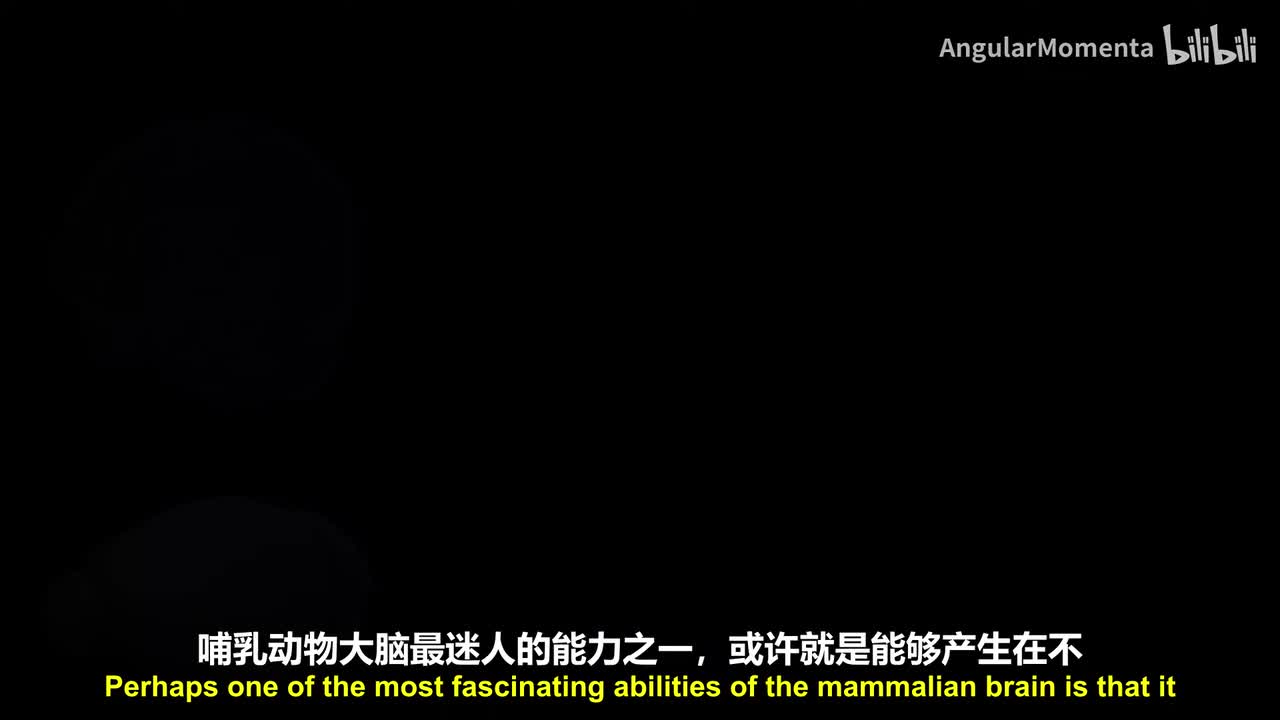 【英语】10 大脑如何组织信息