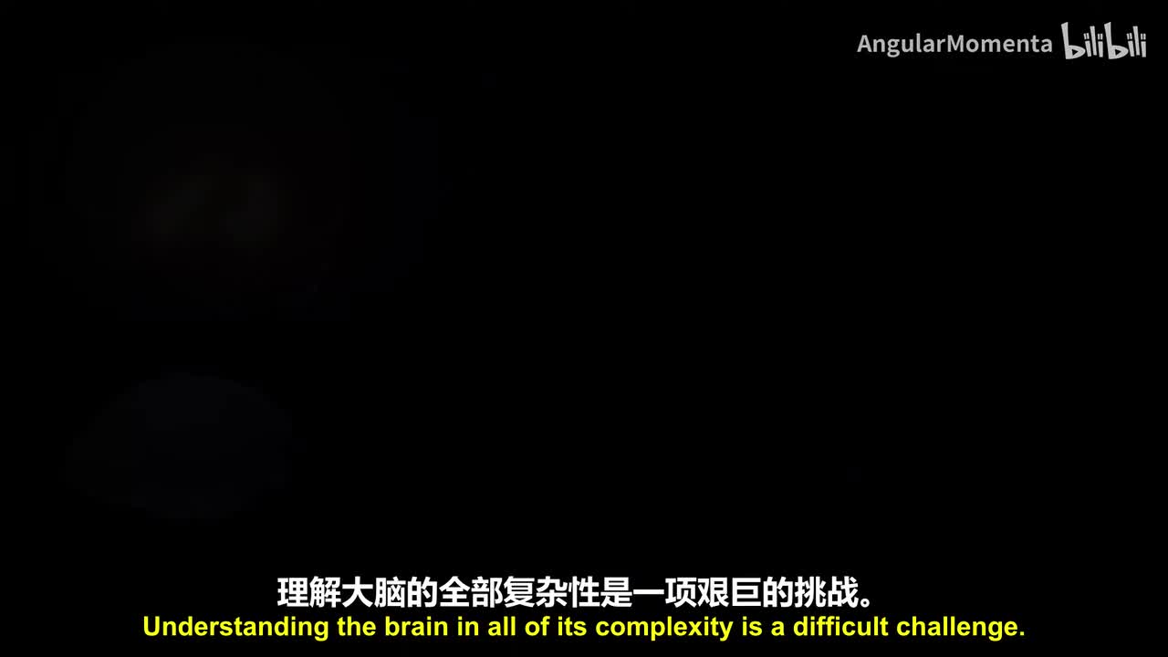 【英语】09 大脑临界态——优化神经计算