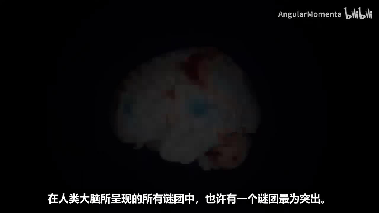 【汉语】21 生物网络学习算法