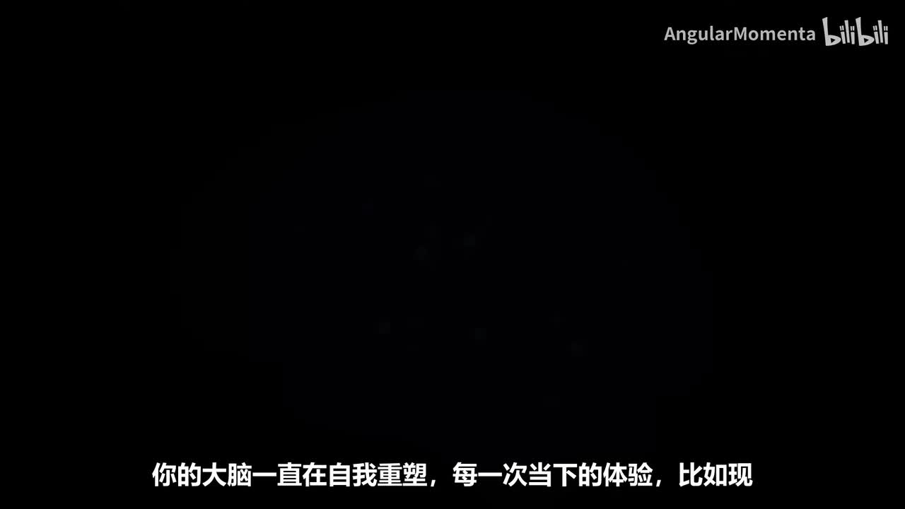 【汉语】22 为什么神经元的不同部位学习方式不同？