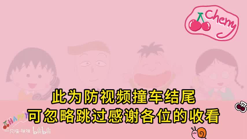 防视频撞车结尾