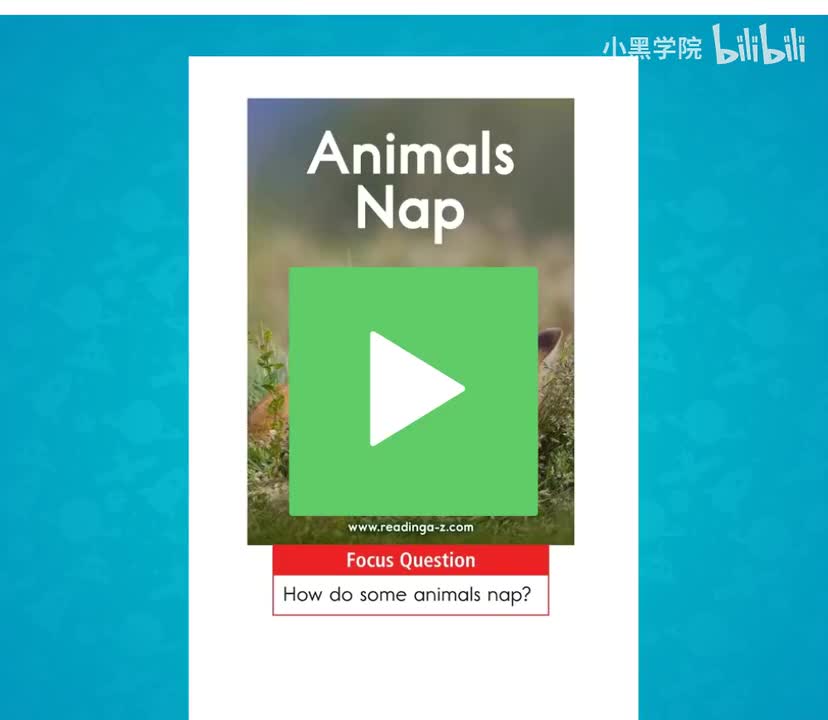 AA-19Animals Nap