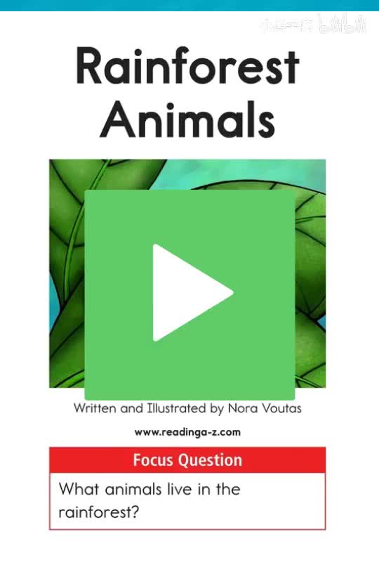 AA-06Rainforest Animals