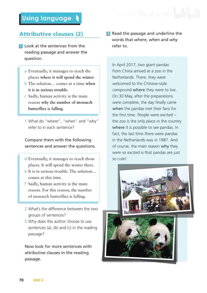 必修一 UNIT5 P73 活动7