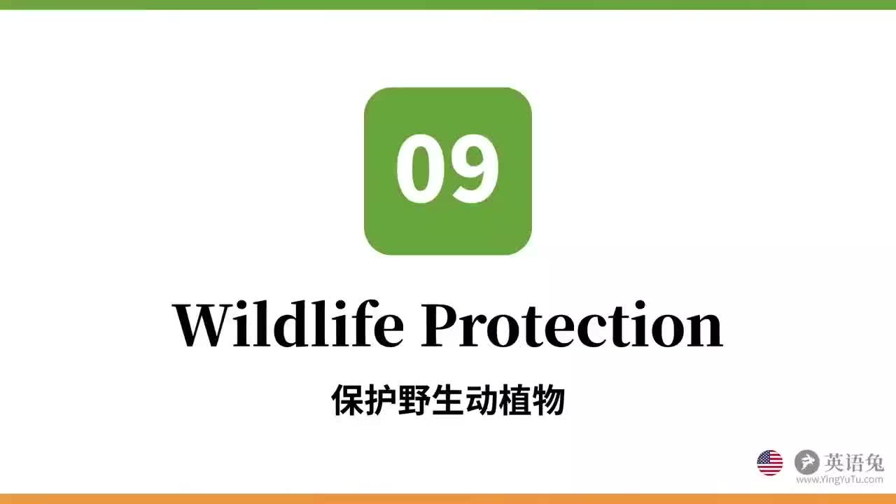 9.Wildlife Protection