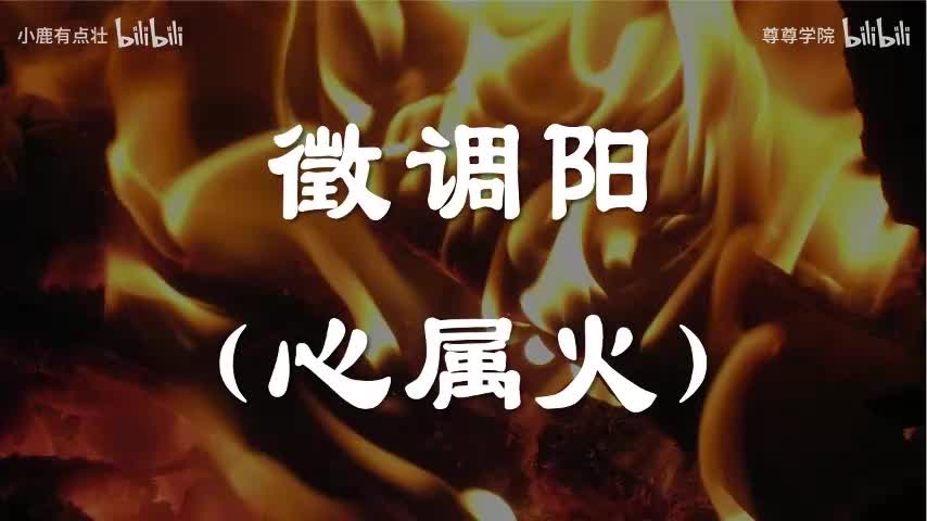 3-徵调阳（心属火）