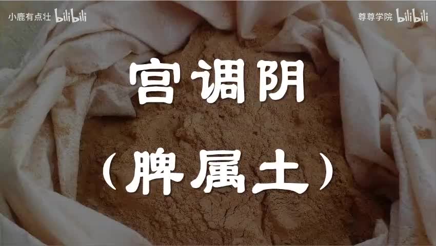 6-宫调阴（脾属土）