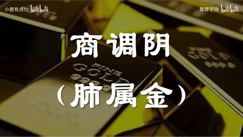 8-商调阴（肺属金）