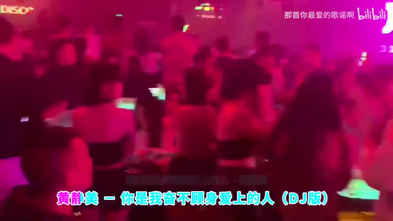 043. 你是我奋不顾身爱上的人 (DJ武圣雄版) - 黄静美