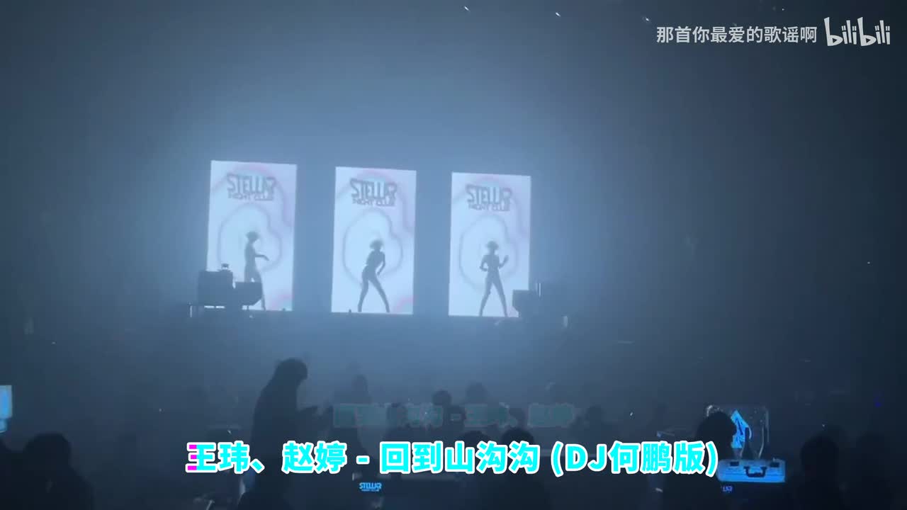 075. 回到山沟沟 (DJ何鹏版) - 王玮、赵婷