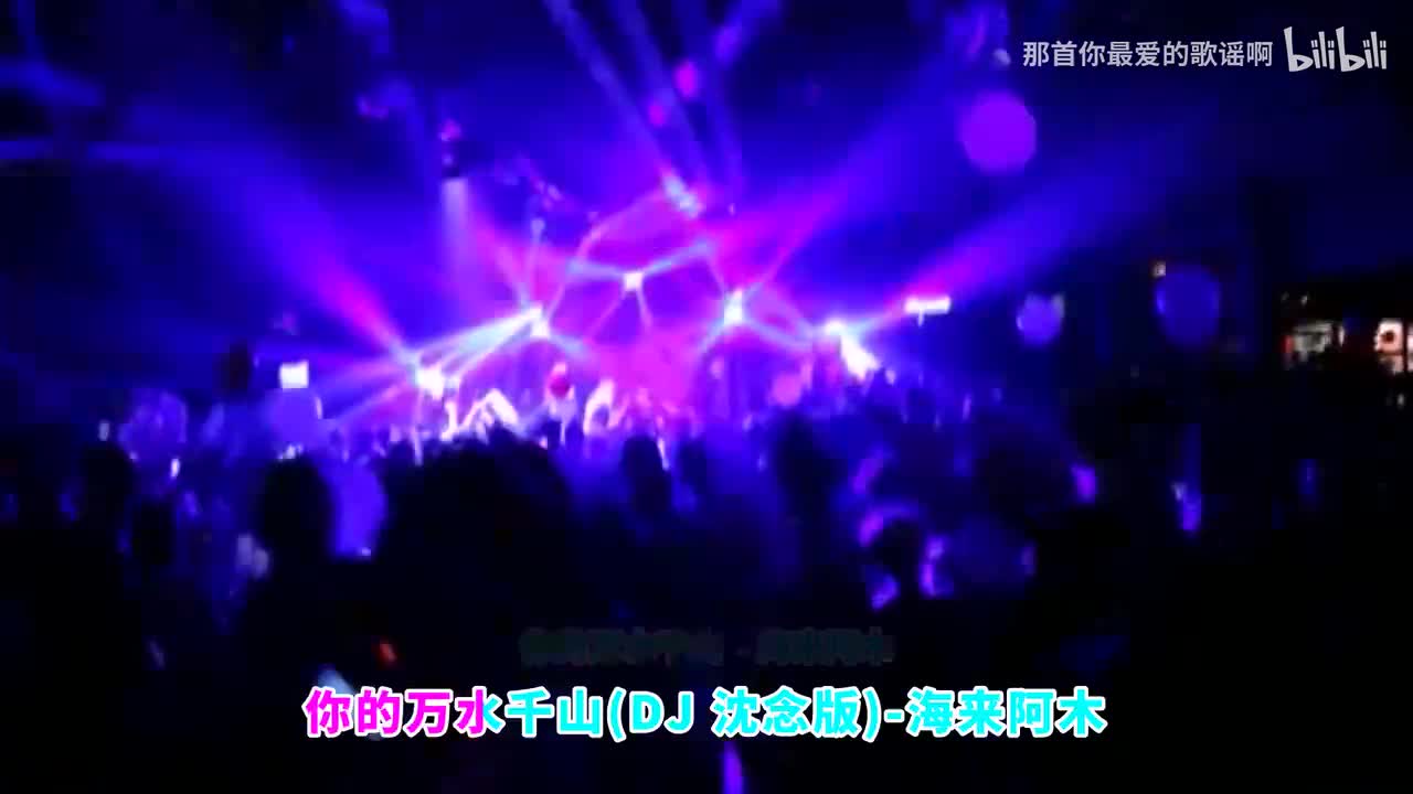 027. 你的万水千山 (DJ沈念版) - 海来阿木