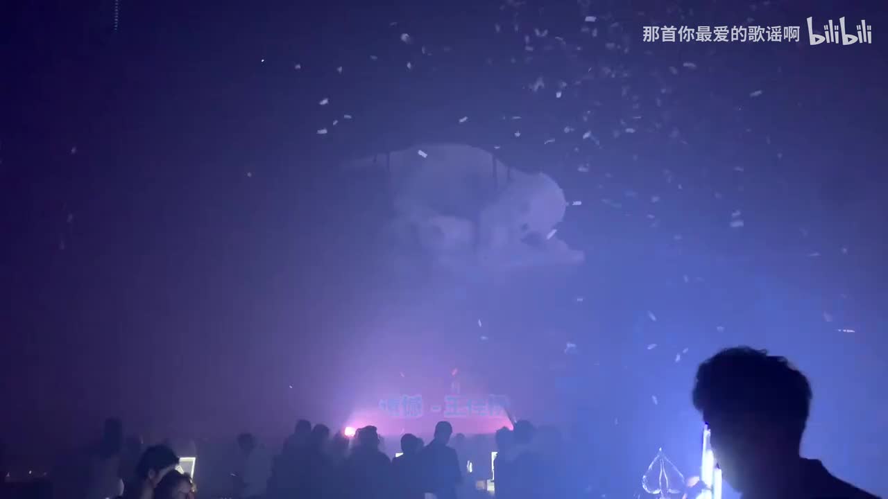 072. 遗憾 (DJ版) - 王佳杨