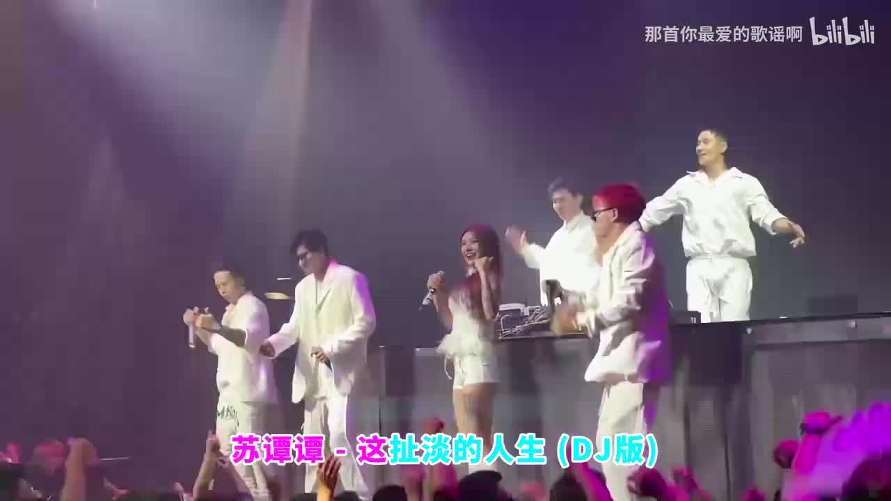 045. 这扯淡的人生 (DJ版) - 苏谭谭