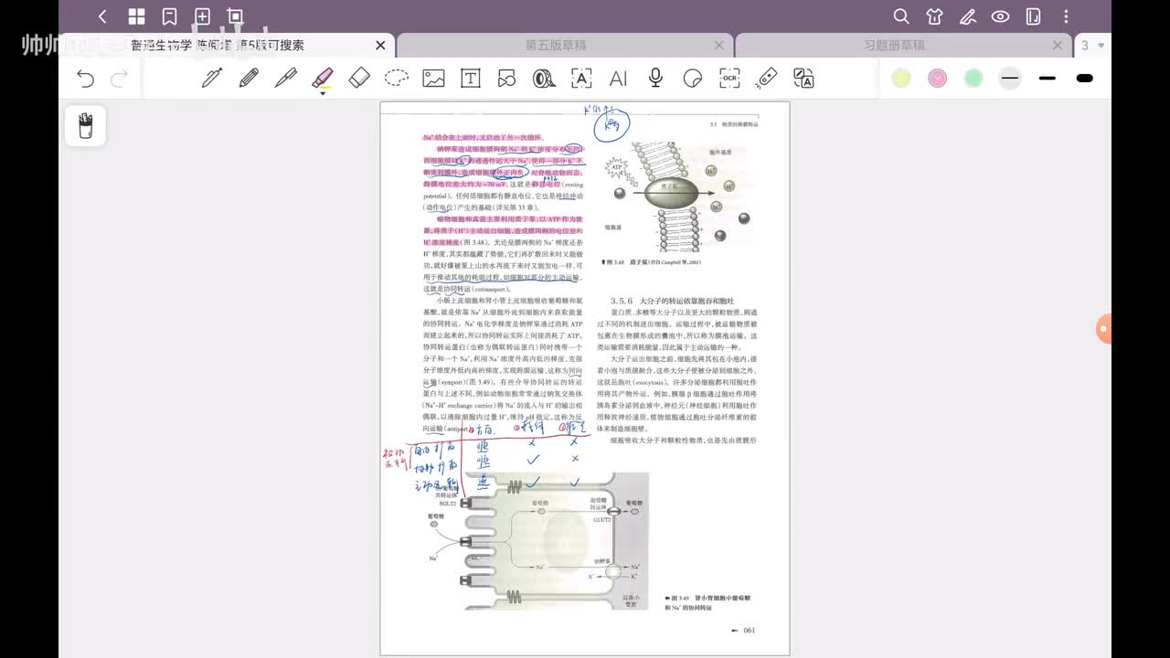 20.第3章 细胞结构与物质交换和信息传递(14)