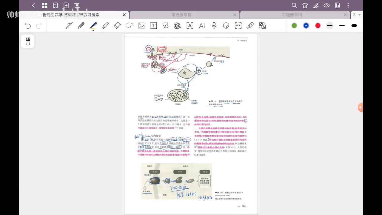 21.第3章 细胞结构与物质交换和信息传递(15)