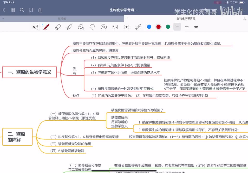 17：糖原的分解和生物合成