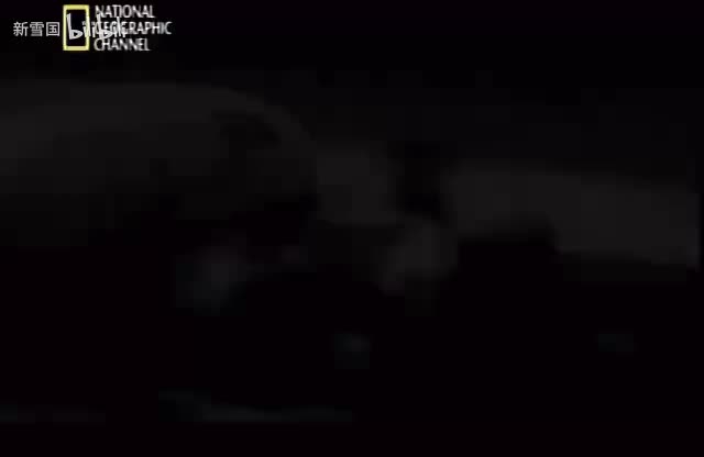 【S07e03】沉默的杀手（柏纳航空394号航班事故）