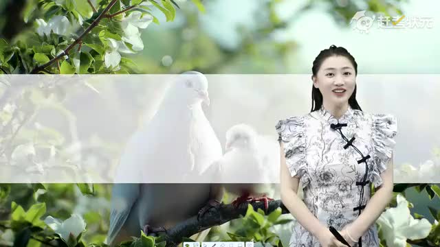 新人教版七年级语文上册-第5单元-04-我的白鸽（第二课时）