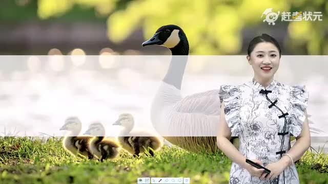 新人教版七年级语文上册-第5单元-05-大雁归来（第一课时）