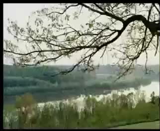 雷州戏剧《金叶菊》全集