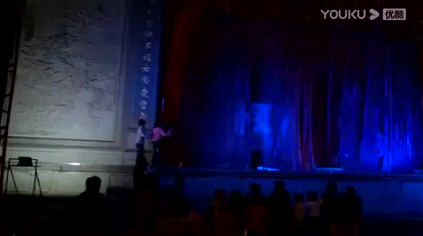 雷州戏剧《郎中公主》全集