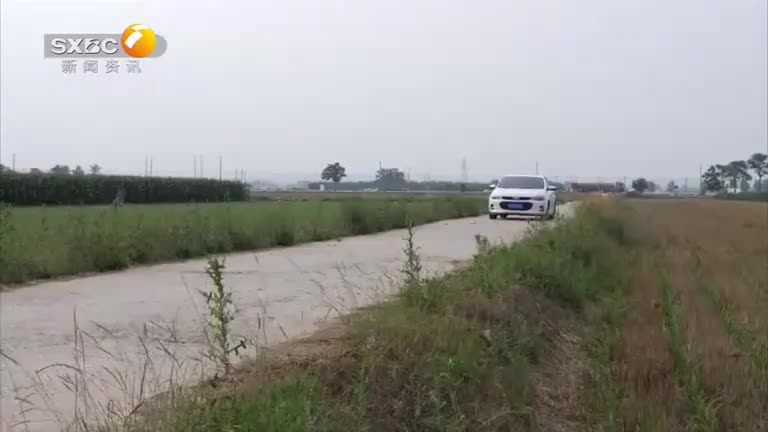 百家碎戏(2025-08-12) - 陕西网络广播电视台