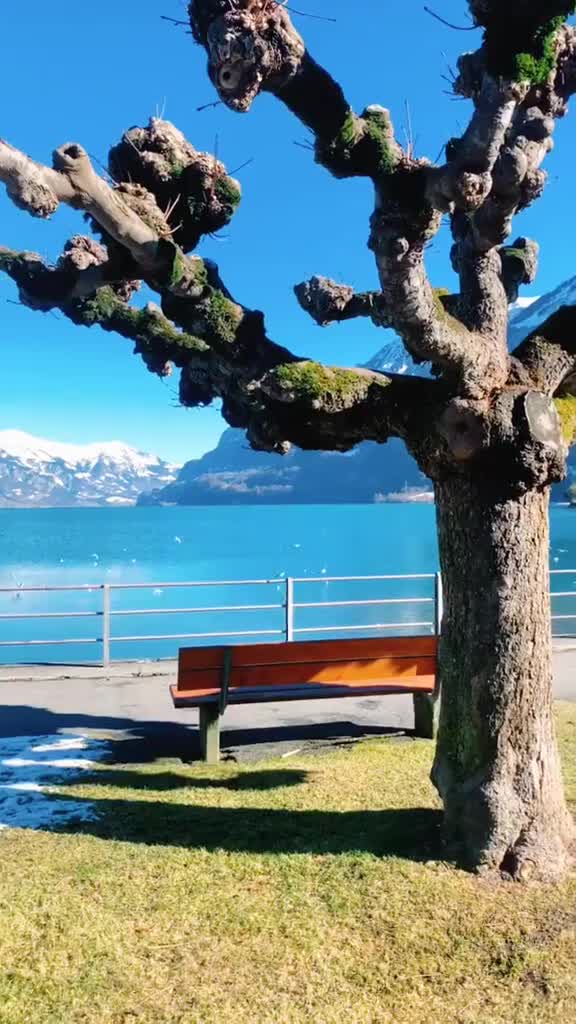 2025年中级经济师|中经经济基础知识|经济师课程精讲班|讲义视频武小唐