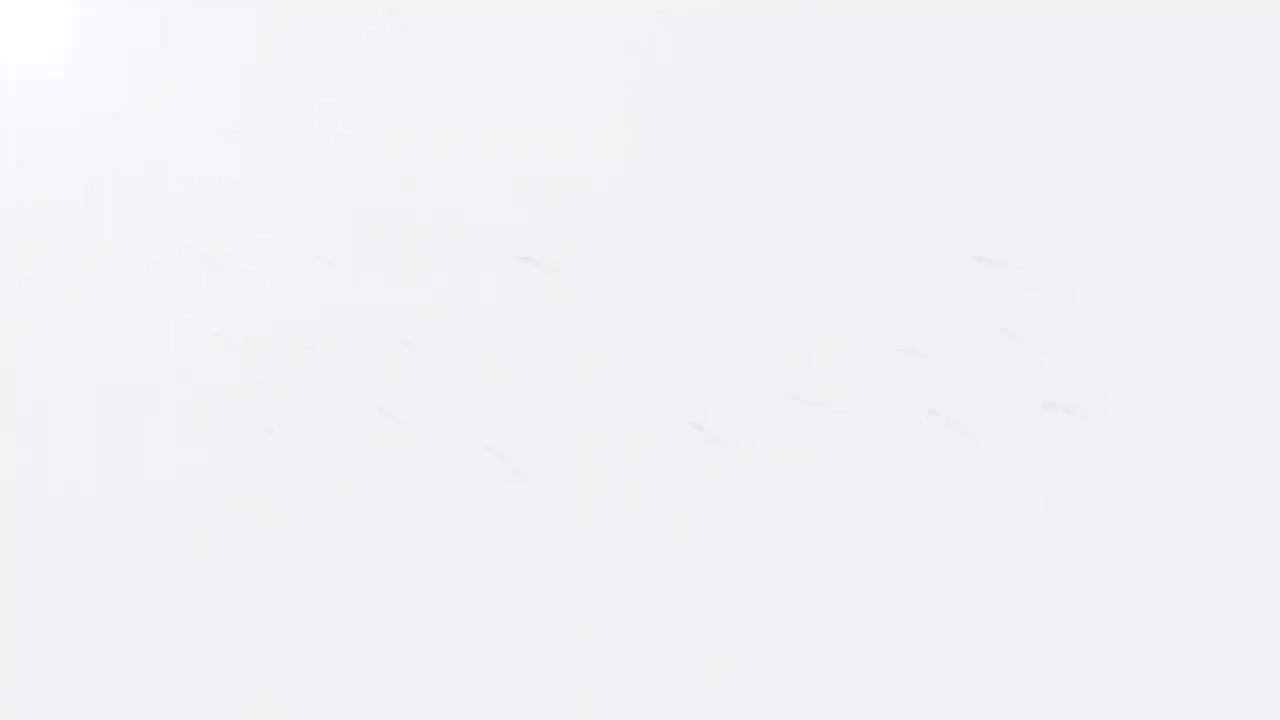 125-第三十四章-第二节 所有权（一）