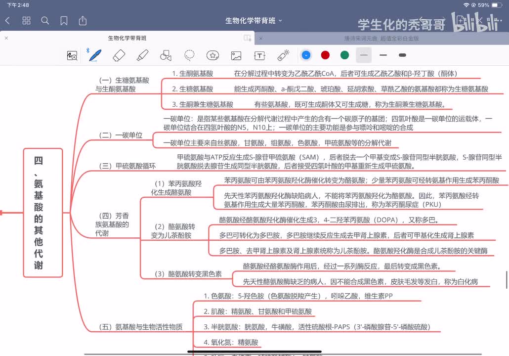 19：蛋白质降解和氨基酸的分解代谢03