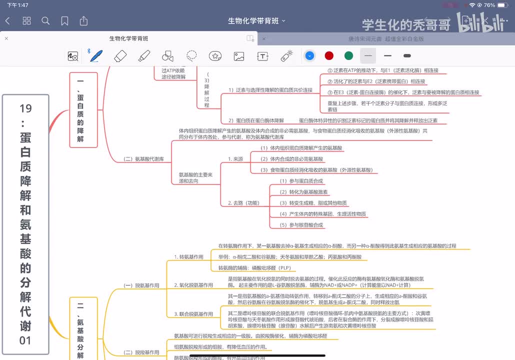19：蛋白质降解和氨基酸的分解代谢01
