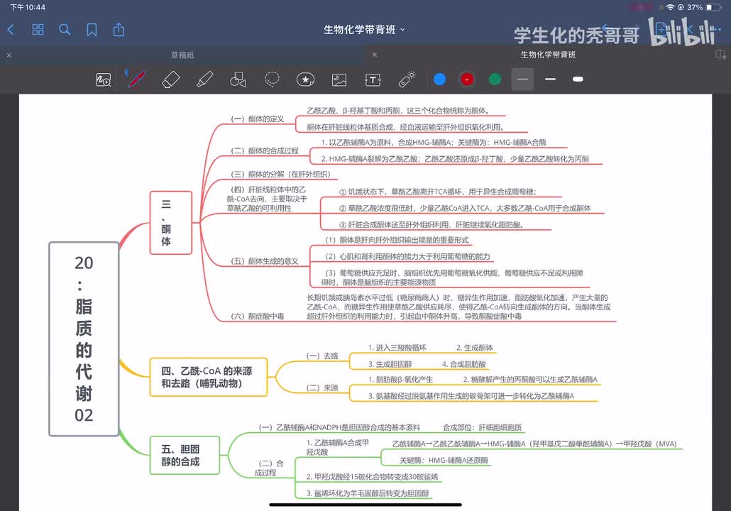 18：脂质的代谢02