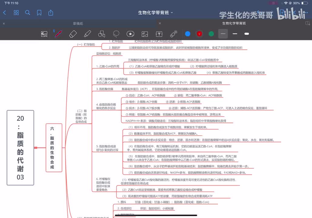 18：脂质的代谢03