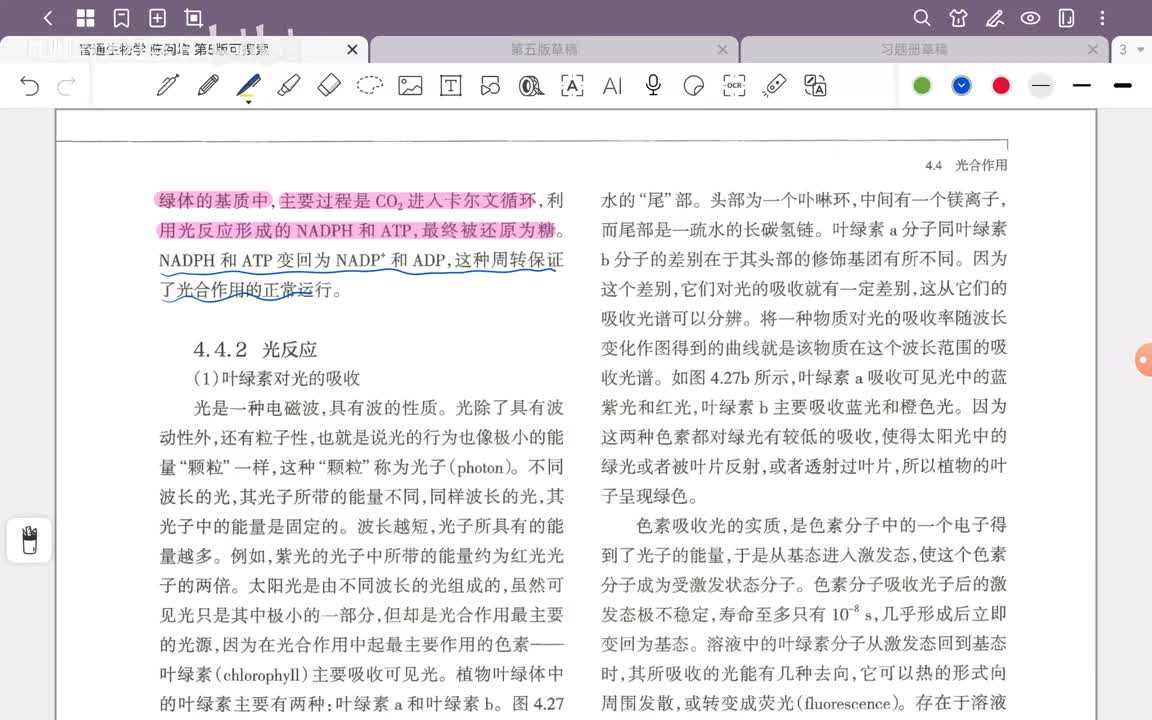 26.第4章 细胞代谢(5)